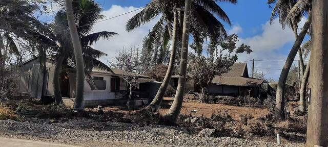 汤加民众开始重建家园！太阳能电池应对电力短缺