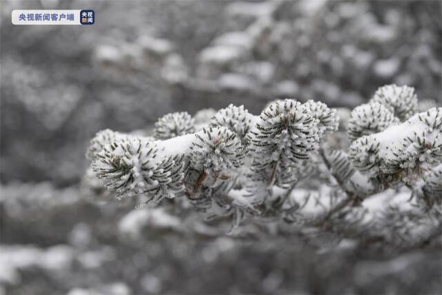 注意防范！云南将迎新一轮雨雪天气 局部路段能见度不足200米