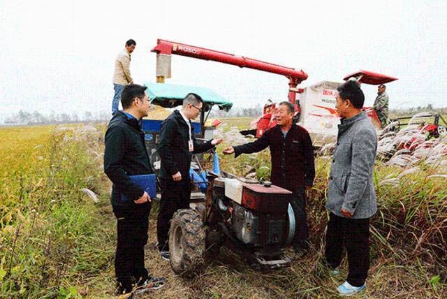 镜头  守护群众米袋子