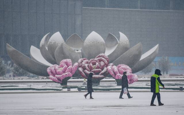 1月22日，山东省济南市，从凌晨开始，全市出现大范围降雪天气。图/IC photo