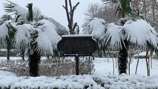 “雪”落河大！！109年了~