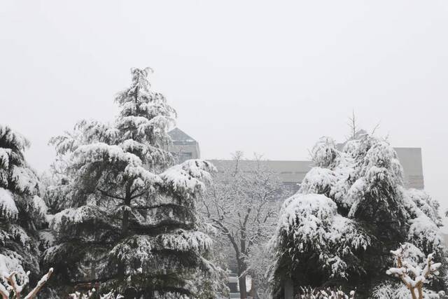 “雪”落河大！！109年了~