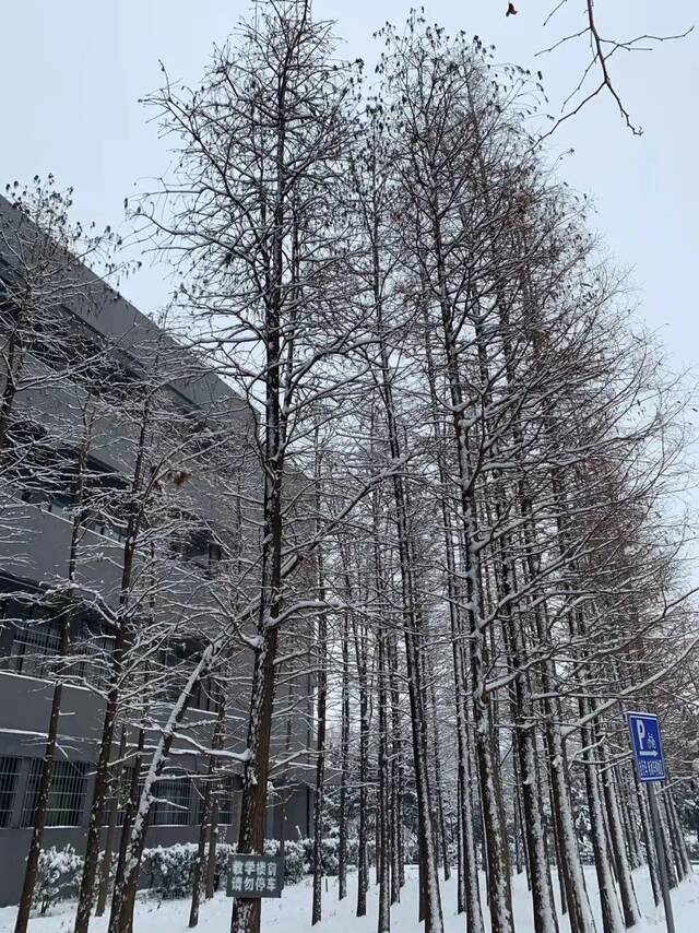 “雪”落河大！！109年了~