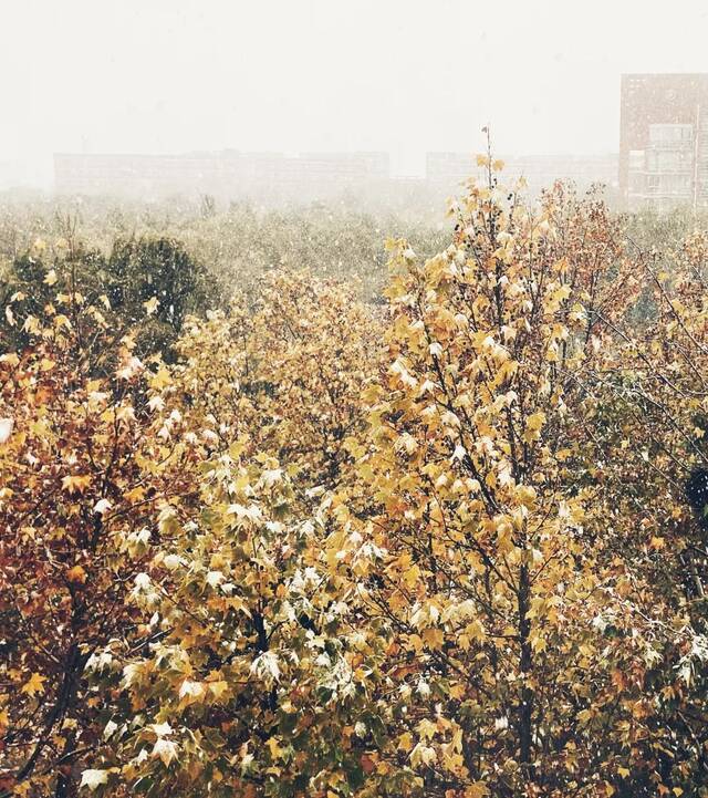 “雪”落河大！！109年了~