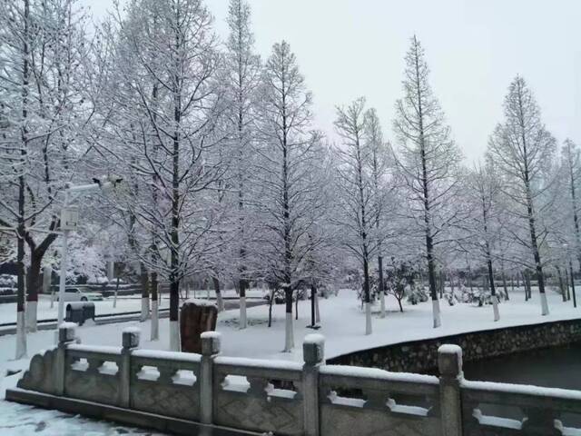 “雪”落河大！！109年了~