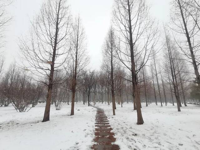 “雪”落河大！！109年了~