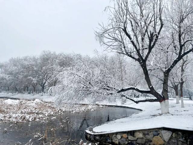 “雪”落河大！！109年了~