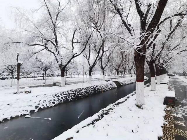 “雪”落河大！！109年了~