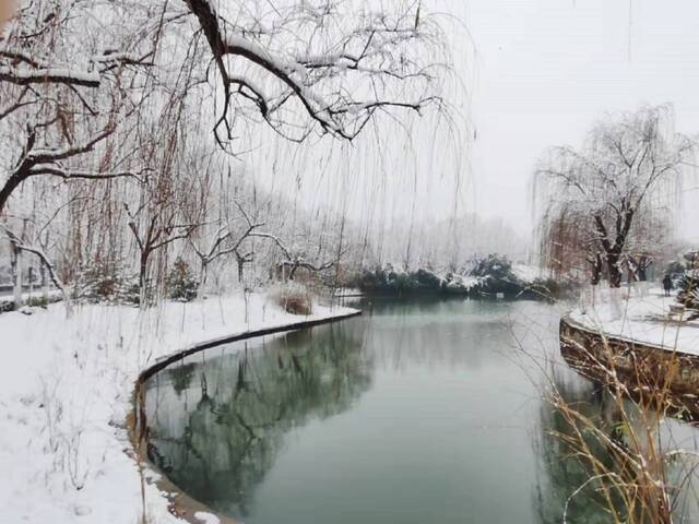 “雪”落河大！！109年了~