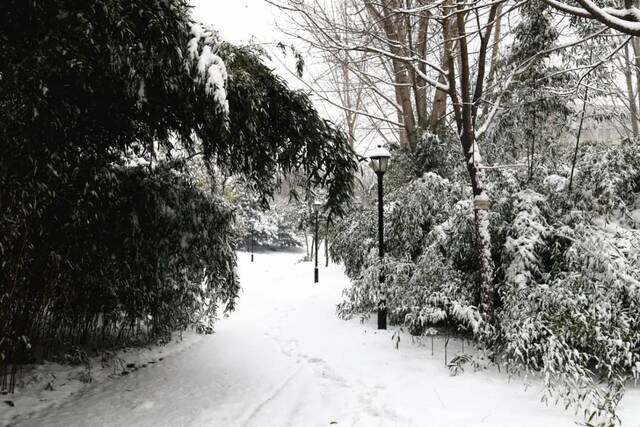 “雪”落河大！！109年了~