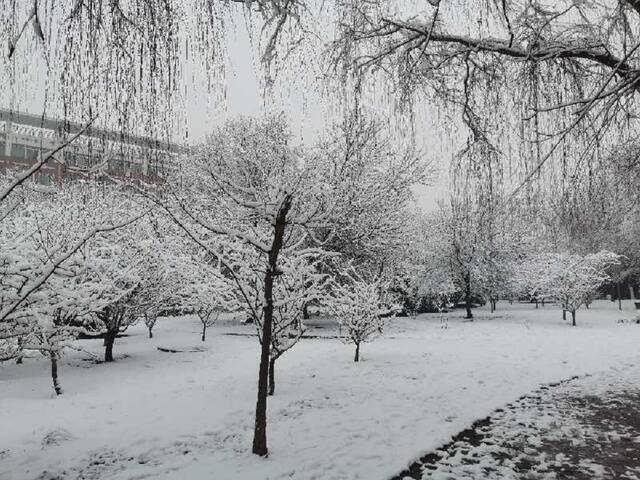 “雪”落河大！！109年了~