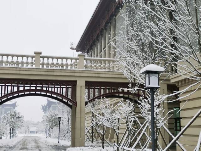 “雪”落河大！！109年了~