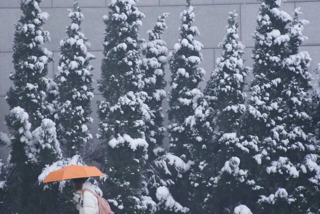 “雪”落河大！！109年了~