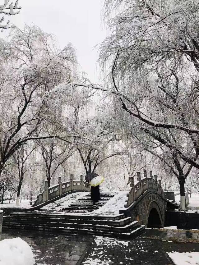 “雪”落河大！！109年了~