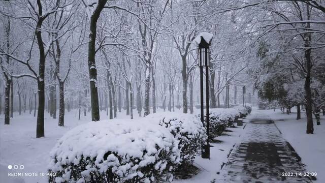 “雪”落河大！！109年了~