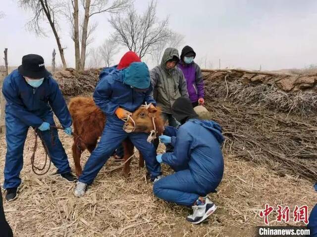 图为李光鹏团队正在基层和当地民众一起开展科研活动