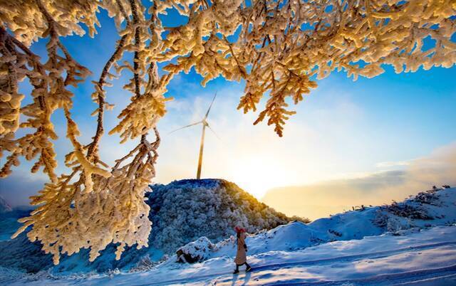 重庆雪景南天湖景区供图