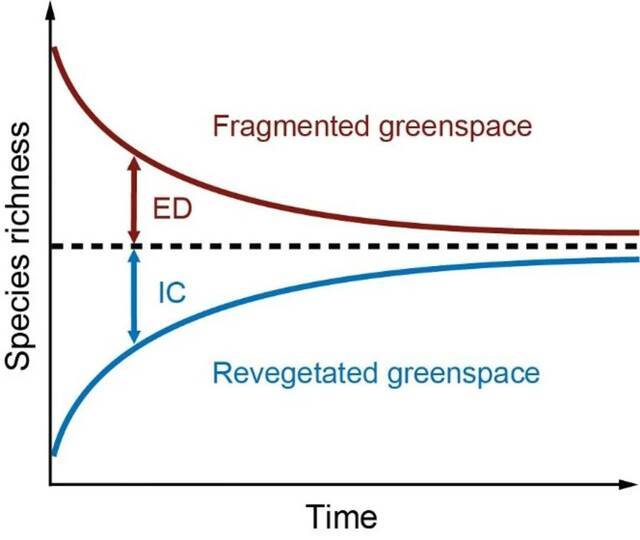 ▲残留生境和新建生境上物种丰富度的预期变化