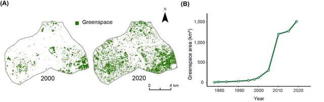 ▲ 2000和2020年上海内环以内绿色空间的分布