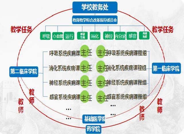 设置跨学科、跨临床与基础的教学组织设计