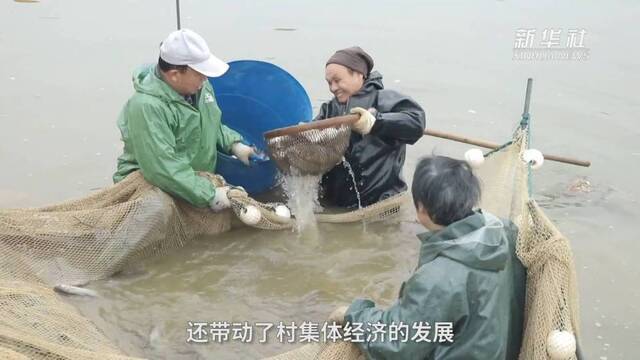 新春走基层·巡江记  这152公里的长江岸线藏着怎样的生态密码？