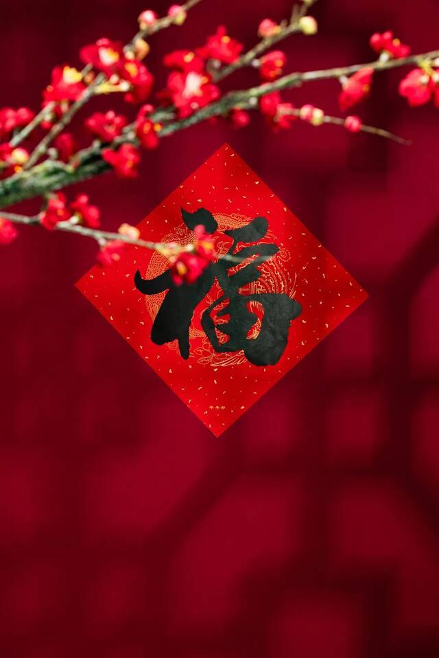 家家户户搞卫生 ，干干净净迎新春！