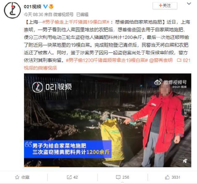 上海一男子偷走上千斤猪粪19棵白菜：想偷粪给自家菜地施肥