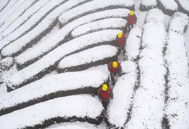 新华全媒+ 中东部雨雪强势上线 各地防范应对不掉线