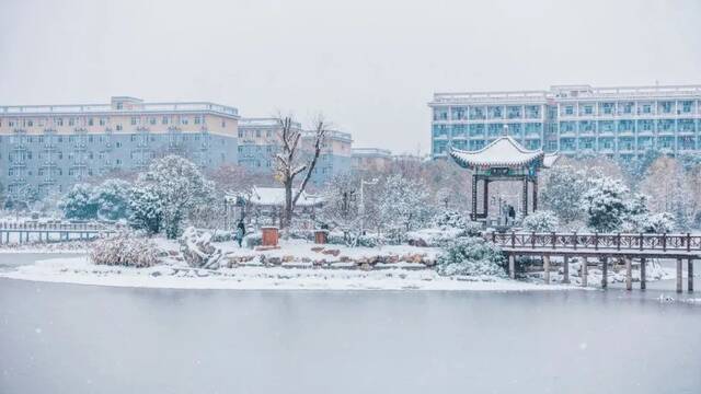 没看到雪？今天为你圆梦！