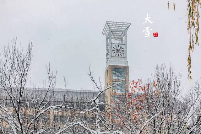 没看到雪？今天为你圆梦！