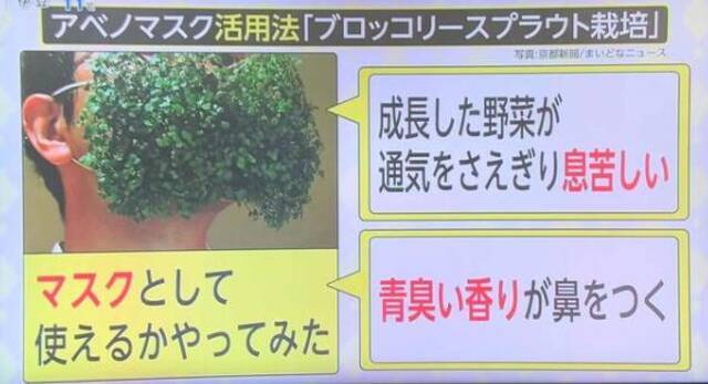 安倍自吹“安倍口罩”人气高，媒体和网友揭示真相：担心浪费用来当抹布……