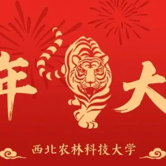 向未来！陕西五校联动祝您新年快乐！