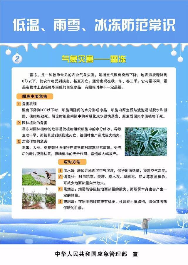 春节期间，云南这些地方有雪！