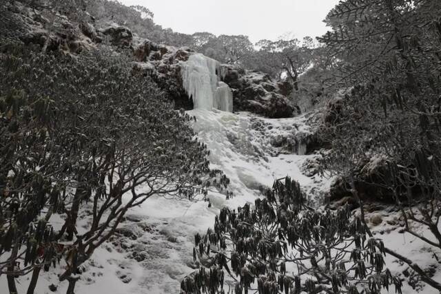 雪景虽美