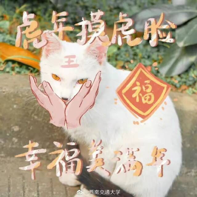 祝大家虎年行大运