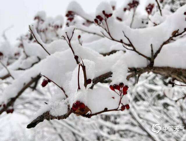 香格里拉市2022年第一场雪余晶晶摄