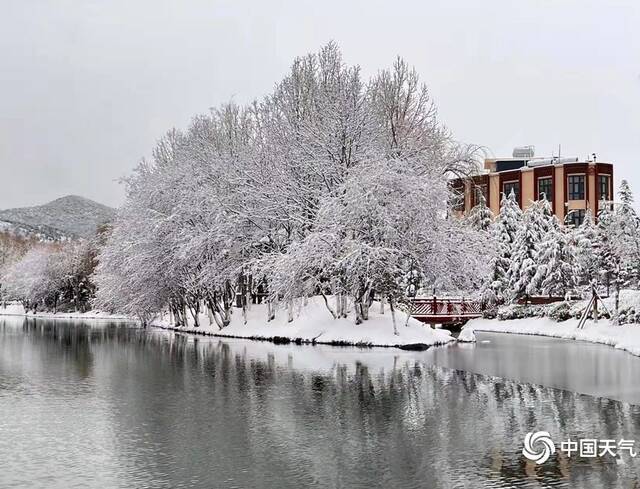 香格里拉市2022年第一场雪余晶晶摄