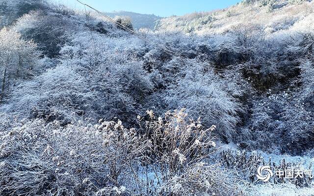 云南迪庆州德钦县雪景杨丽波摄