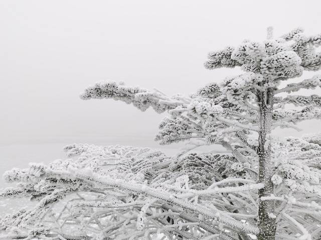 昆明轿子雪山旅游景区供图