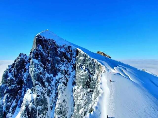 以雪之名，贺新春