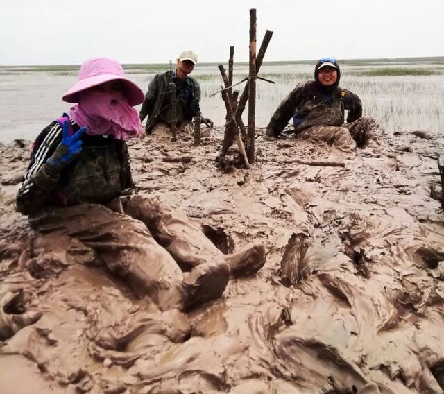 科研人员在崇明东滩植被光滩前缘测水动力