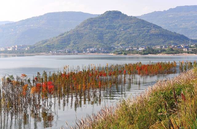 重庆开州汉丰湖国家湿地公园