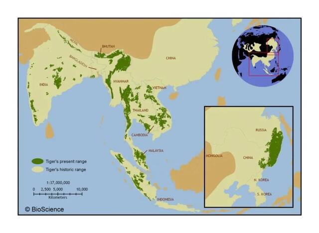 图片来源 https://conservationcorridor.org/