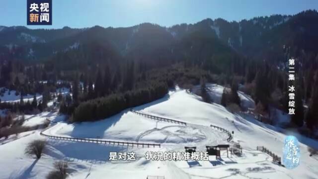 冰雪之约丨冰雪绽放