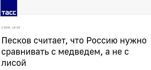 美国：狐狸……俄罗斯：是熊好吗！