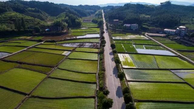 国家级名单揭晓，福建这些地方上榜！