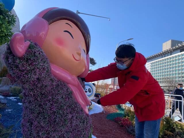 北京冬奥花坛揭秘：两个多月靓丽如初 市民紧急叫停扫雪