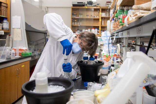 莫妮卡·特鲁希略正在研究含有微量冠状病毒的废水样本。图源：《纽约时报》