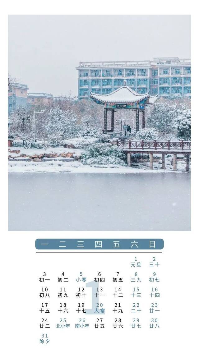 在一月底纷纷扬扬落下的雪