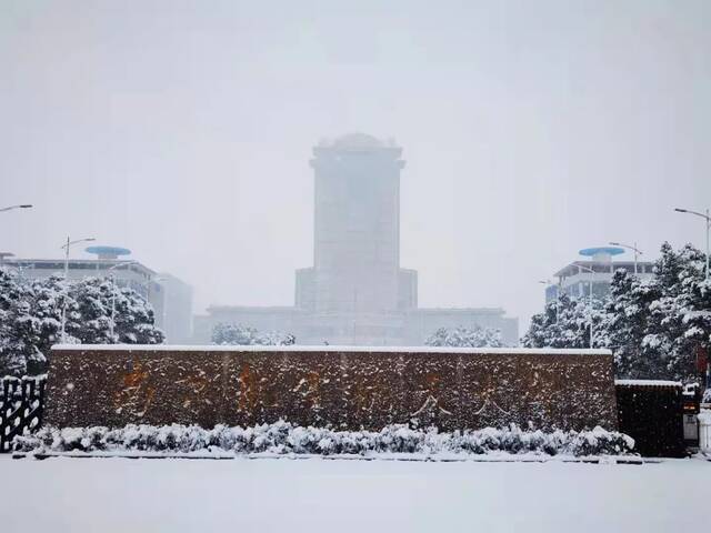 抢不到冰墩墩的你，快来南航看“雪绒绒”吧！